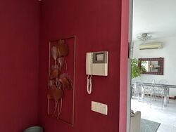 belmond-green photo thumbnail #3